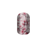 Cherry Blossom
